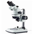 Iluminación LED de fondo Trinocular 7-45X Microscopio estéreo